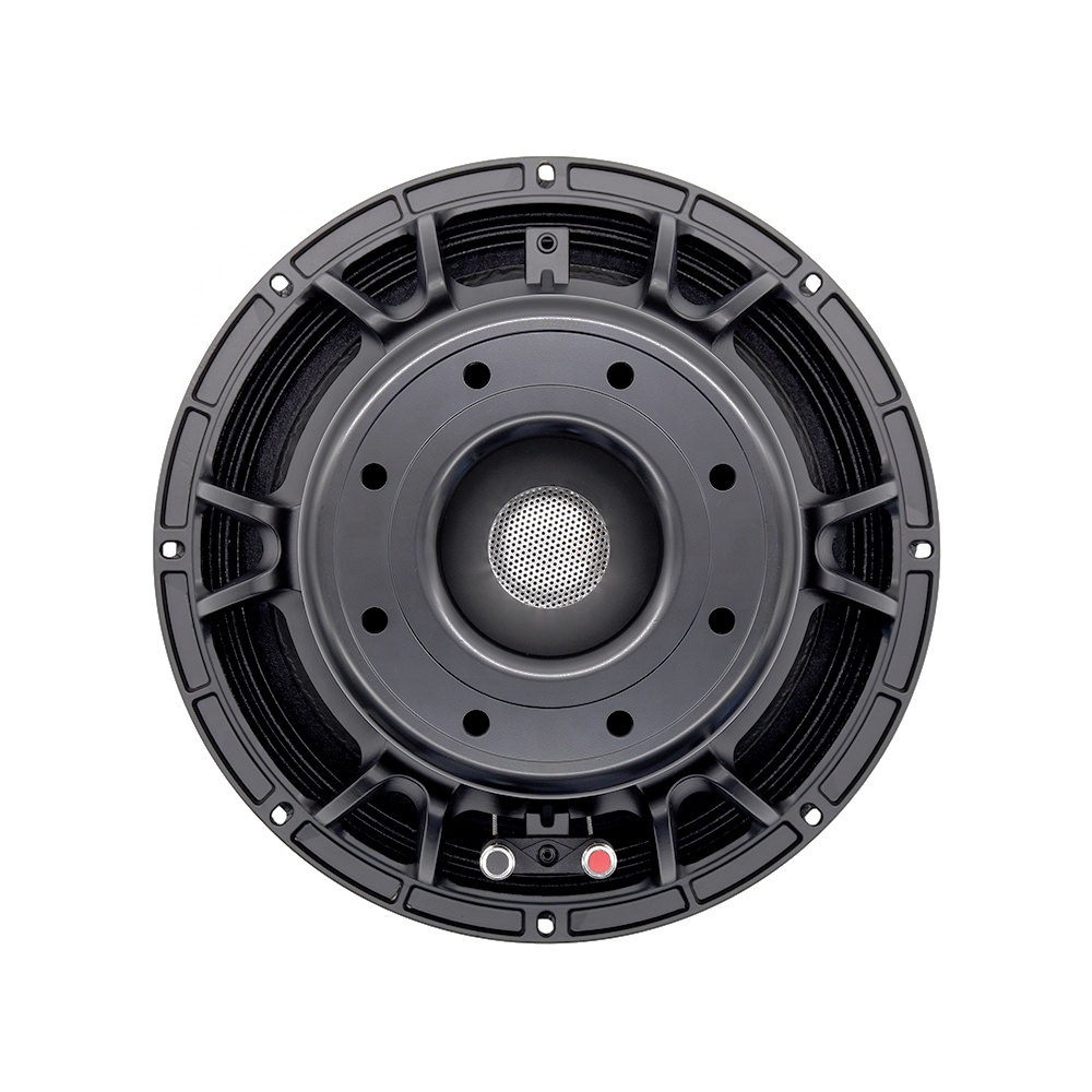 Profesjonalny sprzęt audio 12D – Speakers recenzja i cena
