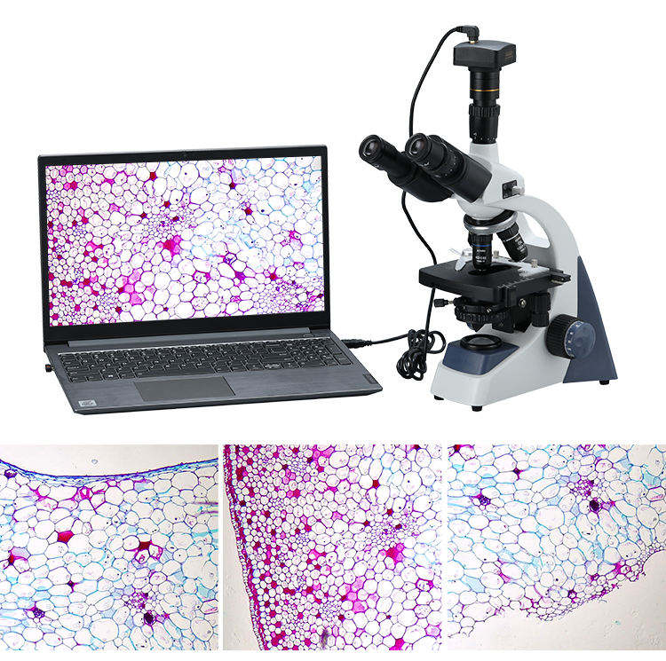 Cyfrowy mikroskop biologiczny  – Cameras recenzja i cena